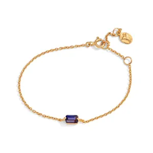 Baguette Mini Bracelet, Iolite, 9kt Yellow Gold