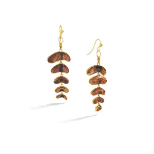 Chiton Shell Earrings