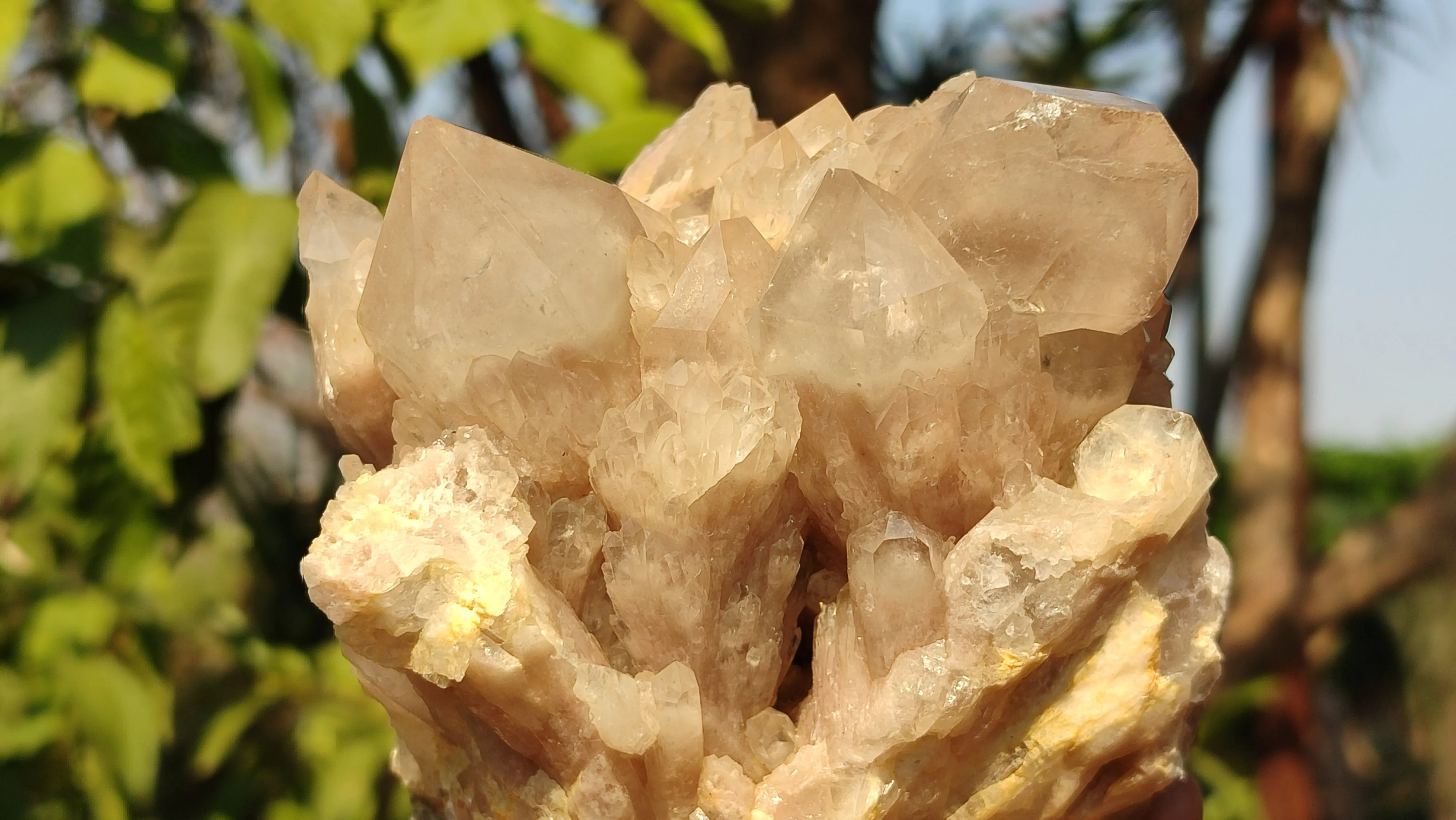 Natural Cascading Smokey Quartz Clusters  x 2 From Luena, Congo