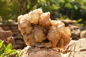 Natural Cascading White Phantom Smokey Quartz Cluster x 1 From Luena, Congo