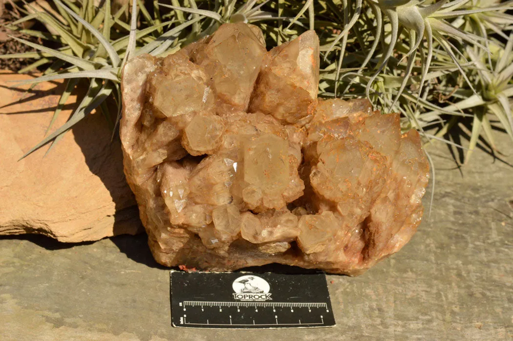 Natural Cascading White Phantom Smokey Quartz Cluster x 1 From Luena, Congo
