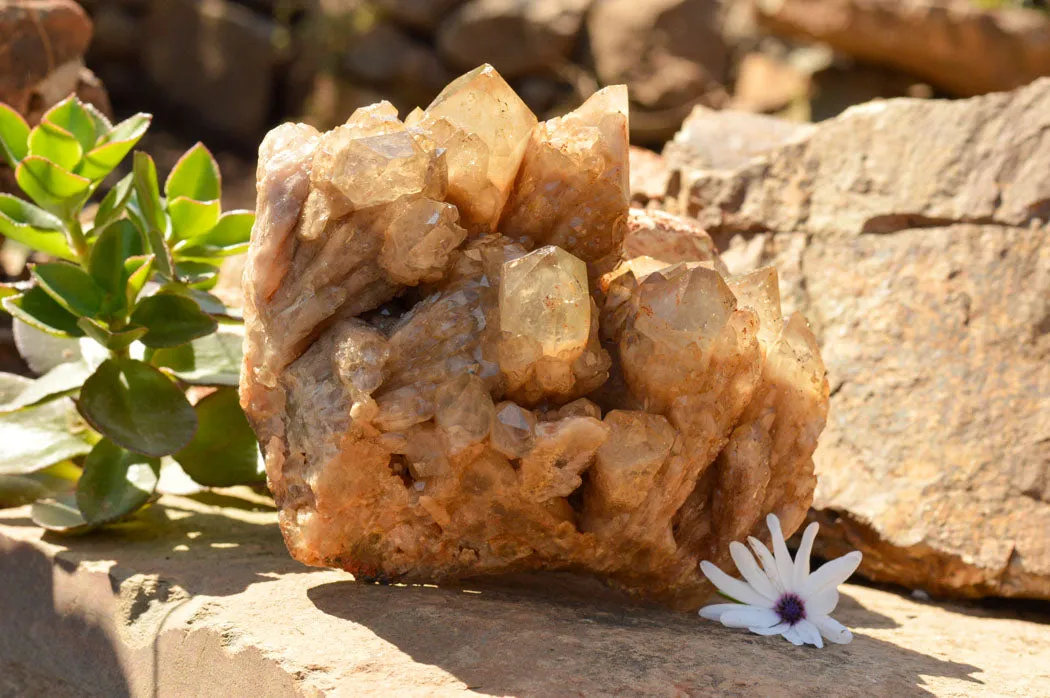 Natural Cascading White Phantom Smokey Quartz Cluster x 1 From Luena, Congo
