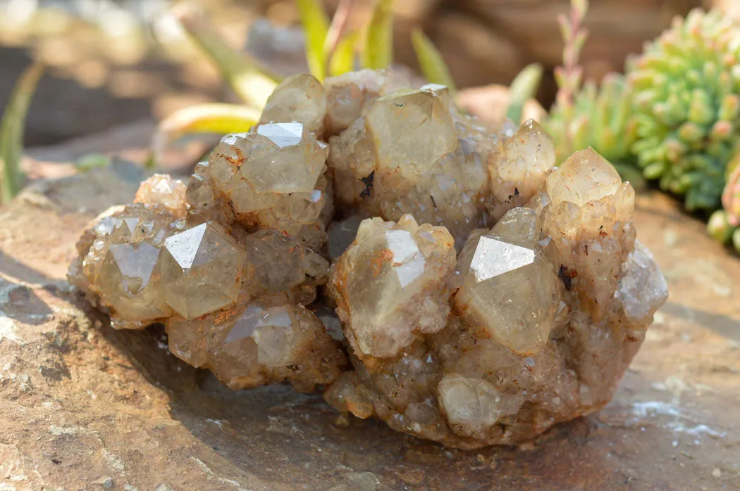 Natural Cascading White Phantom Smokey Quartz Cluster x 1 From Luena, Congo