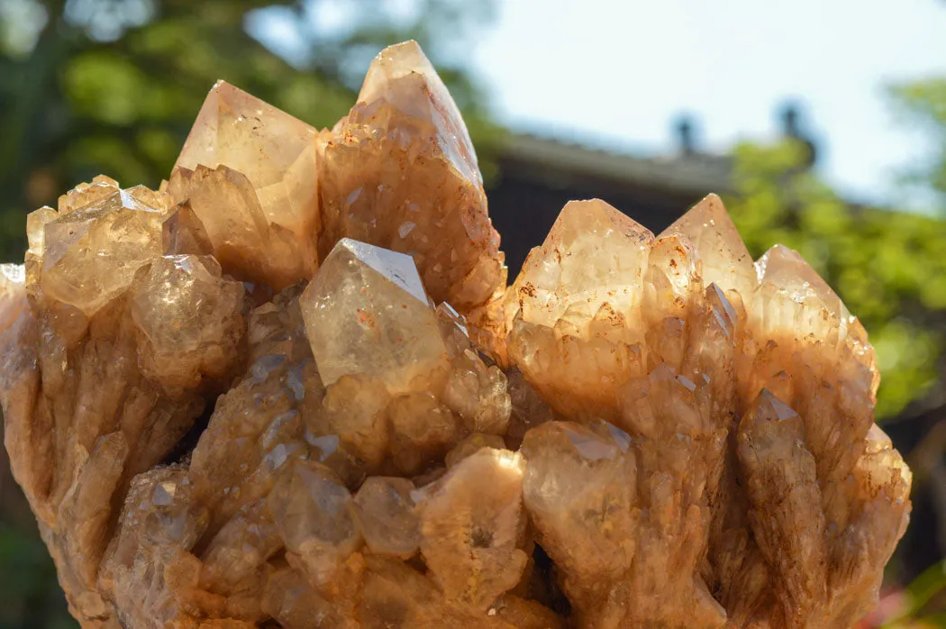 Natural Cascading White Phantom Smokey Quartz Cluster x 1 From Luena, Congo