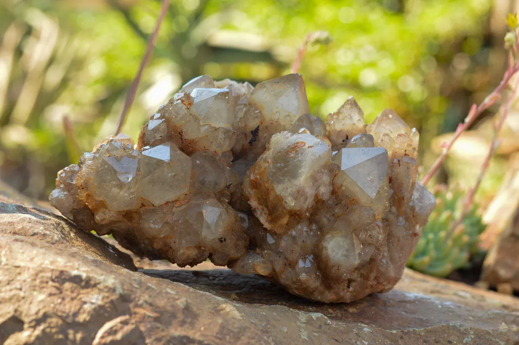 Natural Cascading White Phantom Smokey Quartz Cluster x 1 From Luena, Congo