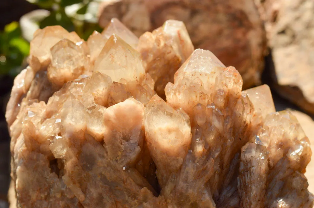 Natural Cascading White Phantom Smokey Quartz Cluster x 1 From Luena, Congo