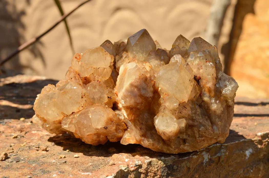 Natural Cascading White Phantom Smokey Quartz Cluster x 1 From Luena, Congo