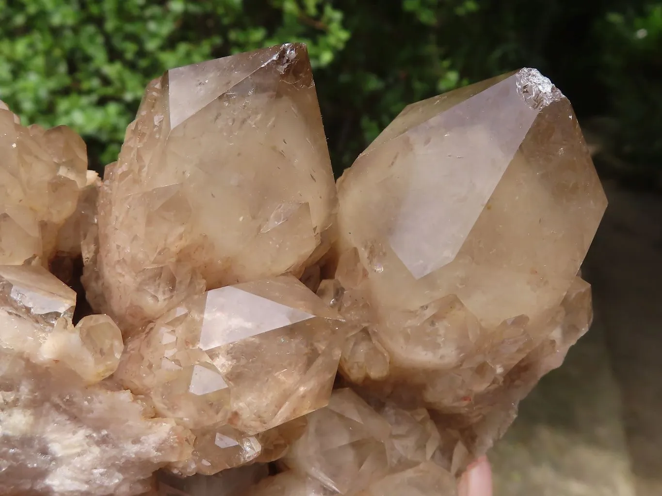 Natural Cascading White Phantom Smokey Quartz Clusters x 2 From Luena, Congo