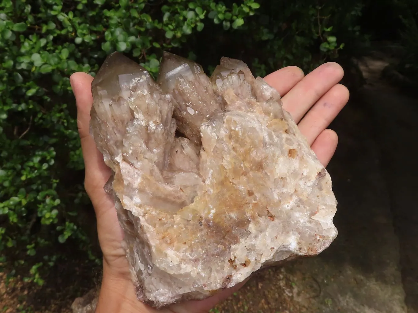 Natural Cascading White Phantom Smokey Quartz Clusters x 2 From Luena, Congo