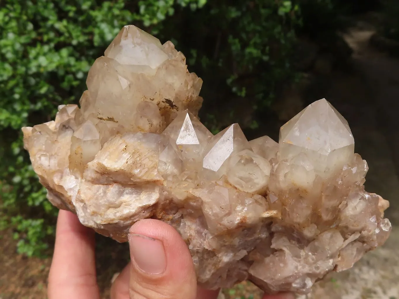Natural Cascading White Phantom Smokey Quartz Clusters x 2 From Luena, Congo