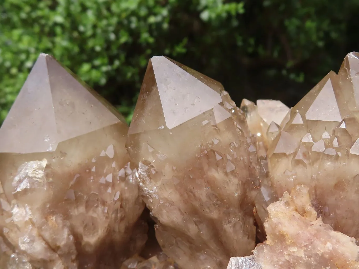 Natural Cascading White Phantom Smokey Quartz Clusters x 2 From Luena, Congo