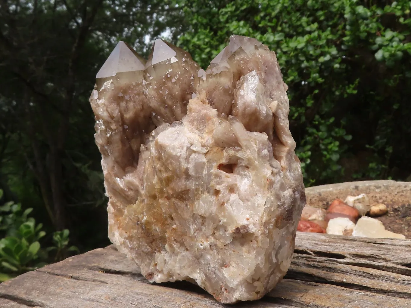 Natural Cascading White Phantom Smokey Quartz Clusters x 2 From Luena, Congo