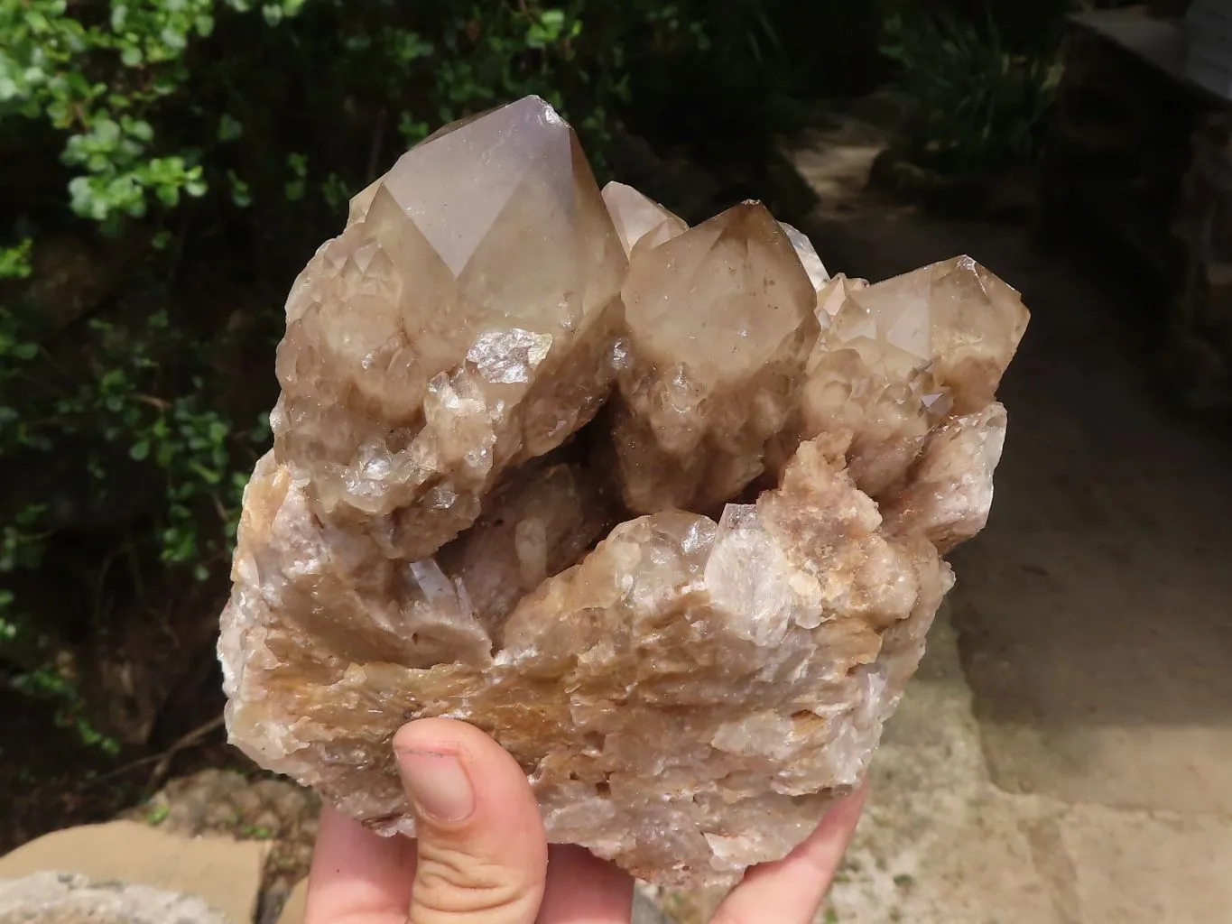 Natural Cascading White Phantom Smokey Quartz Clusters x 2 From Luena, Congo