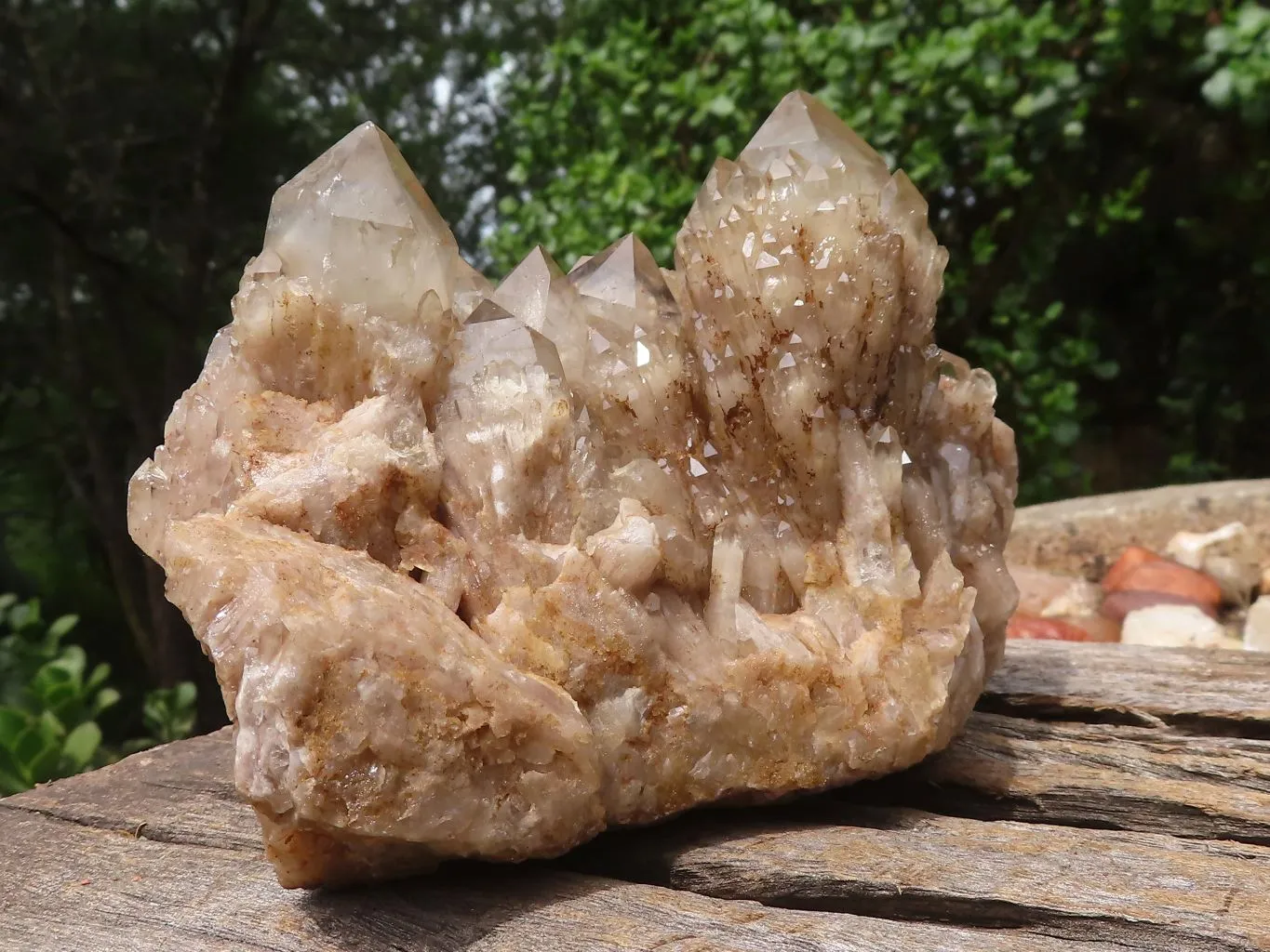 Natural Cascading White Phantom Smokey Quartz Clusters x 2 From Luena, Congo