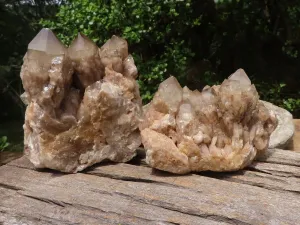Natural Cascading White Phantom Smokey Quartz Clusters x 2 From Luena, Congo