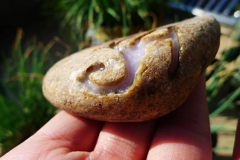 Natural Jade Rough Jadeite Raw (164g,7.7X4.9X2.3cm)