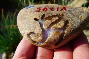 Natural Jade Rough Jadeite Raw (164g,7.7X4.9X2.3cm)
