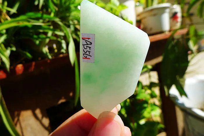 Natural Jade Rough Jadeite Raw (21g,5.3X2.9X0.55cm)