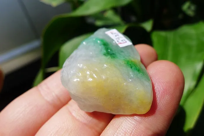 Natural Jade Rough Jadeite Raw (23g,4.3X2.4X1.3cm)