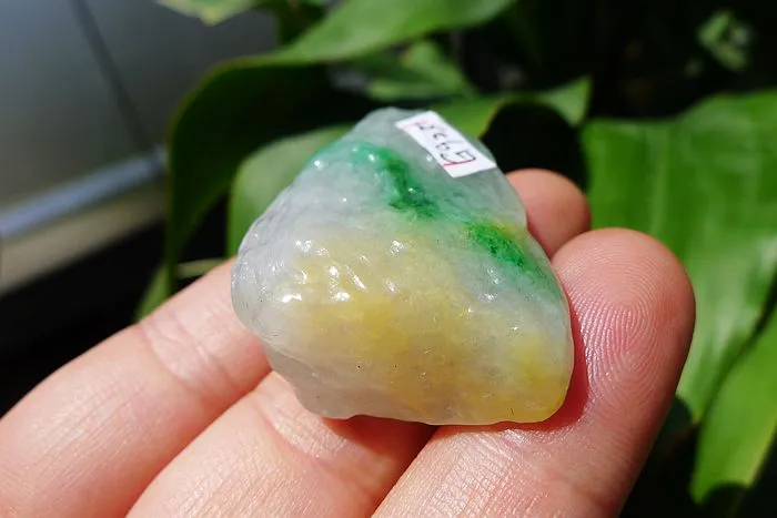 Natural Jade Rough Jadeite Raw (23g,4.3X2.4X1.3cm)