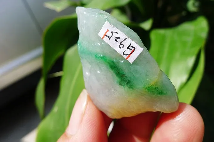 Natural Jade Rough Jadeite Raw (23g,4.3X2.4X1.3cm)