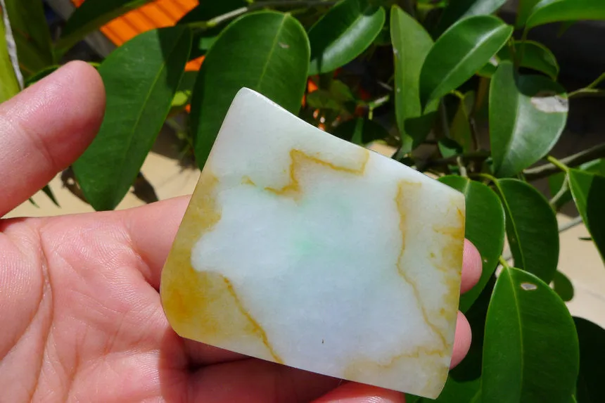 Natural Jade Rough Jadeite Raw 263g