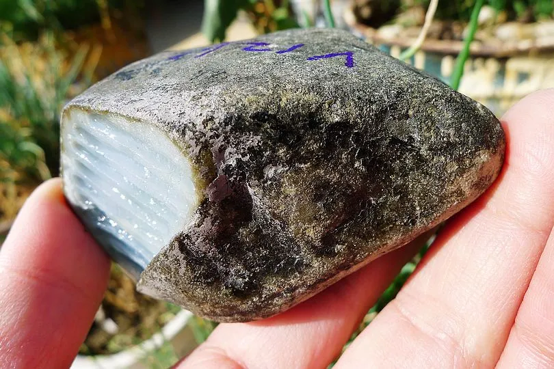 Natural Jade Rough Jadeite Raw (300g,7.6X5.2X4.8cm)