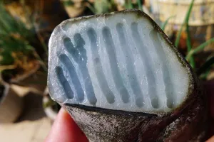 Natural Jade Rough Jadeite Raw (300g,7.6X5.2X4.8cm)
