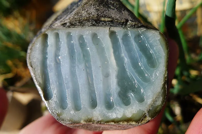 Natural Jade Rough Jadeite Raw (300g,7.6X5.2X4.8cm)