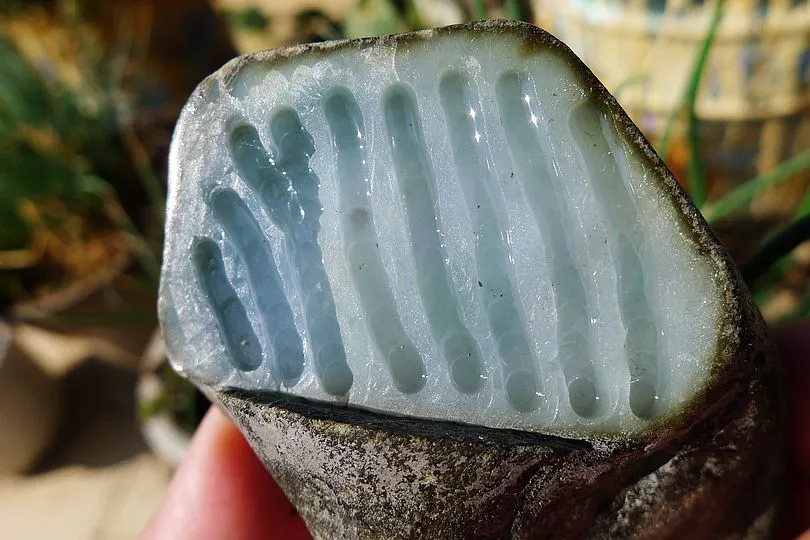 Natural Jade Rough Jadeite Raw (300g,7.6X5.2X4.8cm)