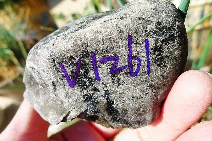 Natural Jade Rough Jadeite Raw (300g,7.6X5.2X4.8cm)
