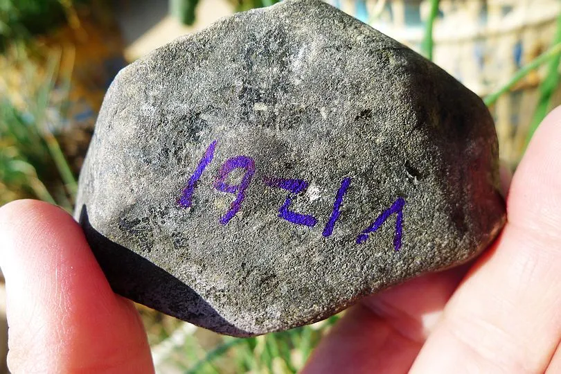 Natural Jade Rough Jadeite Raw (300g,7.6X5.2X4.8cm)