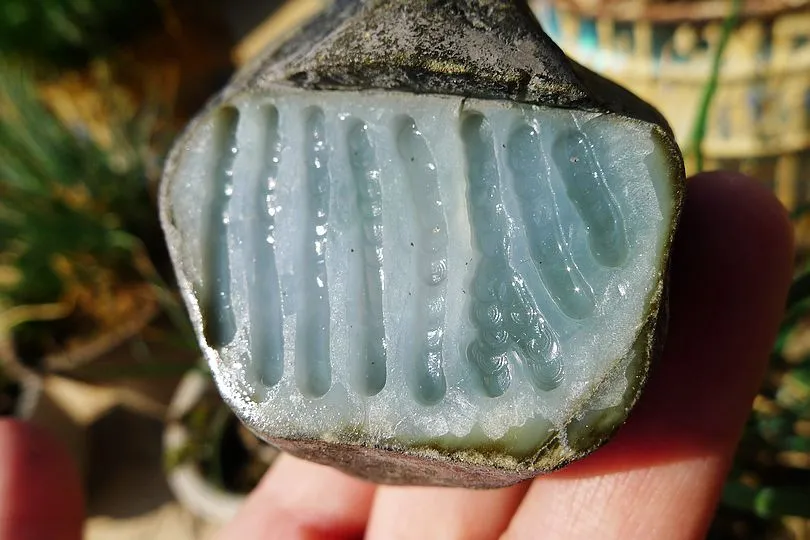 Natural Jade Rough Jadeite Raw (300g,7.6X5.2X4.8cm)