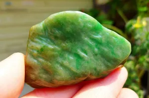 Natural Jade Rough Jadeite Raw (35g,5.5X3.6X1cm)