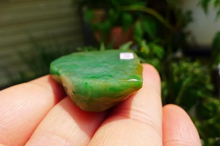 Natural Jade Rough Jadeite Raw (35g,5.5X3.6X1cm)