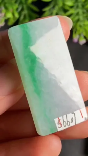 Natural Jade Rough Jadeite Raw (3.8x1.8x0.64cm)-S6607