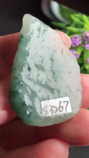 Natural Jade Rough Jadeite Raw (3.8x2.6X0.4cm)-S3267