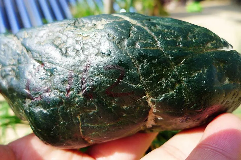 Natural Jade Rough Jadeite Raw (473g,12.3X5.2X4.9cm)