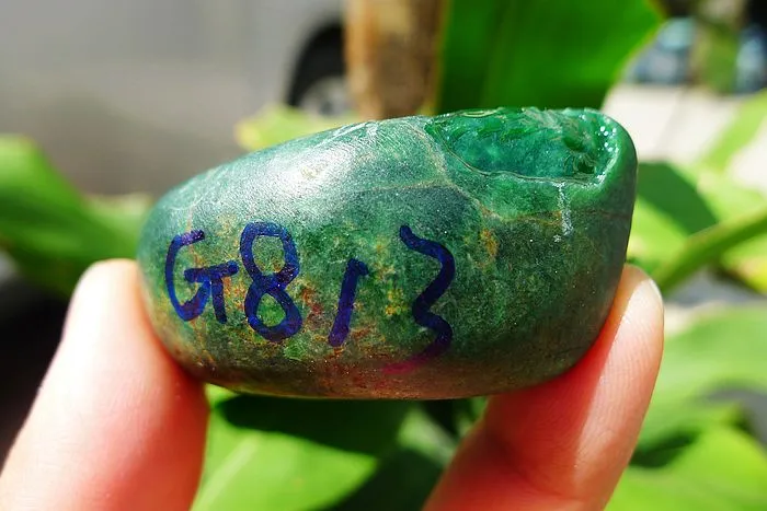 Natural Jade Rough Jadeite Raw (63g,5.1X2.6X2.3cm)