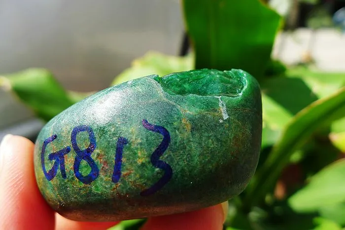 Natural Jade Rough Jadeite Raw (63g,5.1X2.6X2.3cm)