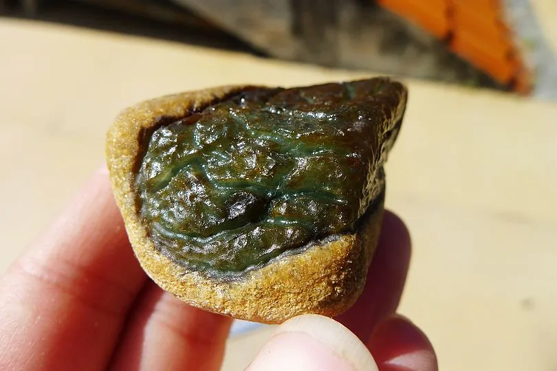 Natural Jade Rough Jadeite Raw (86g,5.3X3.7X2.3cm)