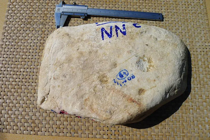 Natural Jade Rough Jadeite Raw (g,28X20X6.9cm)