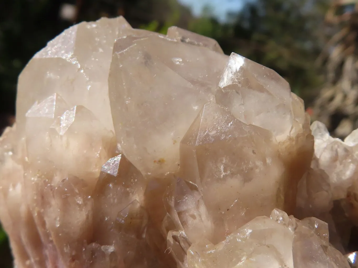 Natural Smokey Phantom Quartz Clusters x 6 From Luena, Congo