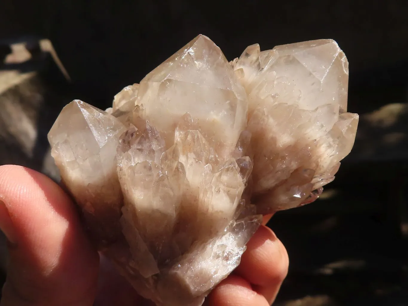 Natural Smokey Phantom Quartz Clusters x 6 From Luena, Congo