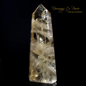 XL Citrine Quartz Devic Temple Crystal Point 'Prosperity & Abundance'